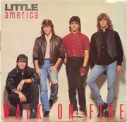 7inch Vinyl Single - Little America - Walk On Fire