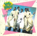 CD - Little Anthony & The Imperials - The Best Of Little Anthony & The Imperials