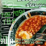 Little Angels - Too Posh To Mosh, Too Good To Last!