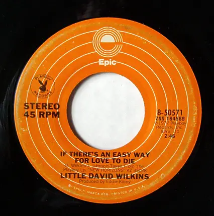 Little David Wilkins - Motel Rooms