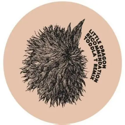 LITTLE DRAGON - Recommendation (Toddla T Remix)