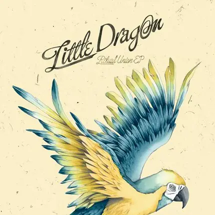 Little Dragon - Ritual Union Remix EP