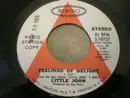 7inch Vinyl Single - Little John - Feelings Of Delight / Turn Your Face To A Smile
