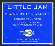 12'' - Little Jam - Alone In The Desert