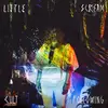 LP & MP3 - Little Scream - Cult Following