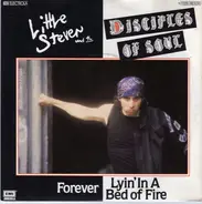 Little Steven And The Disciples Of Soul - Forever