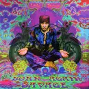 Double LP - Little Steven - Born Again Savage