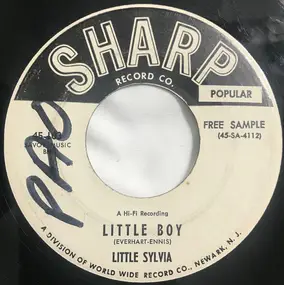 The Ray-O-Vacs - Little Boy / I'll Always Be In Love With You