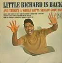 LP - Little Richard - Little Richard Is Back - Mono