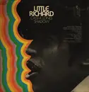 Double LP - Little Richard - Cast A long shadow