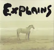 Little Wings - Explains