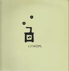 Lithops - Didot
