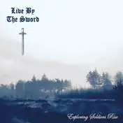 Live BY The Sword - Exploring Soldiers Rise