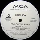 Double LP - Livin' Joy - Follow The Rules (Exclusive Mixes From Visnadi & Satoshi Tomiie)