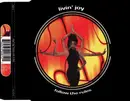 CD Single - Livin' Joy - Follow the Rules