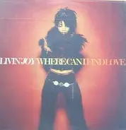 Livin' Joy - Where Can I Find Love