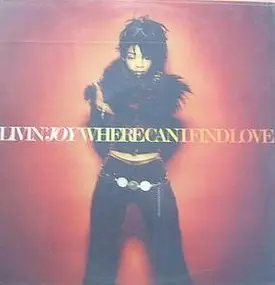 Livin' Joy - Where Can I Find Love