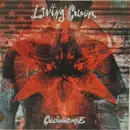 CD - Living Colour - Collideoscope