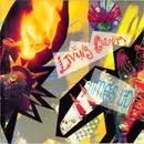 CD - Living Colour - Time S Up