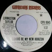 Livingston Taylor - Loving Be My New Horizon