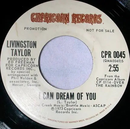 Livingston Taylor - Loving Be My New Horizon