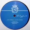 12inch Vinyl Single - Liviu Groza - China Charm