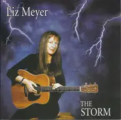 Liz Meyer - The Storm