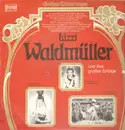 LP - Lizzi Waldmüller - Lizzi Waldmüller und ihre großen Erfolge