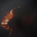 LP - Lizzy McAlpine - Five Seconds Flat