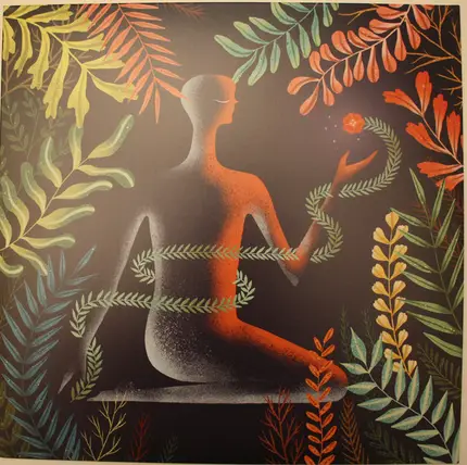 Loma - Don't Shy Away