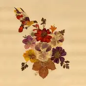 lone pigeon - Concubine Rice