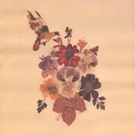 lone pigeon - Concubine Rice
