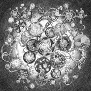 Long Distance Calling - Long Distance Calling Meets Leech