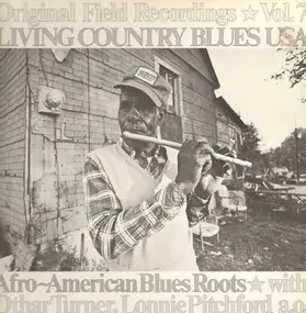 Lonnie Pitchford - Afro-American Blues Roots