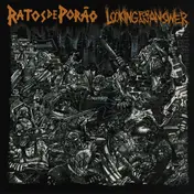 looking for an answer - SPLIT