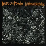 looking for an answer