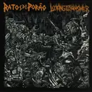 EP - Looking For AN Answer/ Ratos DE Porao - Split - -10'-