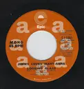 7inch Vinyl Single - Looking Glass - Jimmy Loves Mary-Anne - Mono