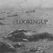 LOOKING UP - Looking Up