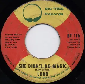 Lobo - She Didn't Do Magic