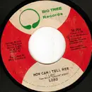 7inch Vinyl Single - Lobo - How Can I Tell Her / Hope You're Proud Of Me Girl