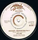 7inch Vinyl Single - Lois Lane - River Deep - Mountain High