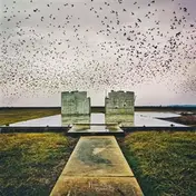 Lord Buffalo - Holus Bolus