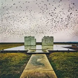 Lord Buffalo - Holus Bolus