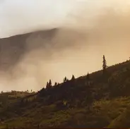 Lord Buffalo - Tohu Wa Bohu