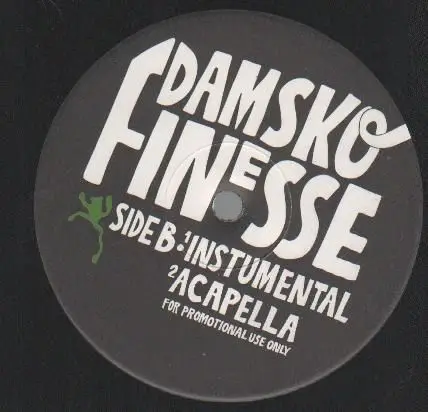 Lord Finesse , Nina , RB Djan , Deams , Willem de Bruin , Heist-Rockah & Kiddo Cee - Damsko Finesse