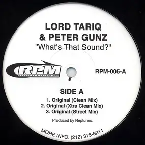 Lord Tariq & Peter Gunz - What's That Sound?