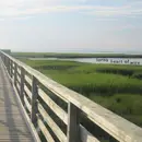 CD - Lorna - Heart Of Wire - Digipak