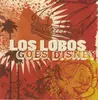 CD - Los Lobos - Los Lobos Goes Disney