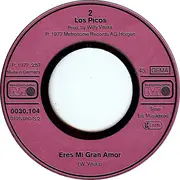 7inch Vinyl Single - Los Picos - El Tiempo Pasa